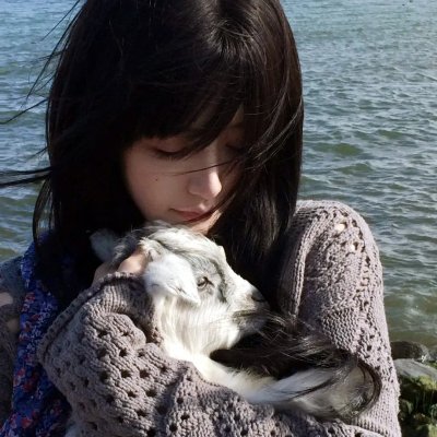 风流十七年